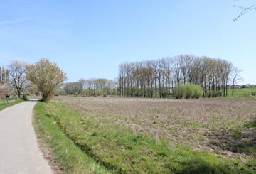 Landbouwgrond Te koop Brakel