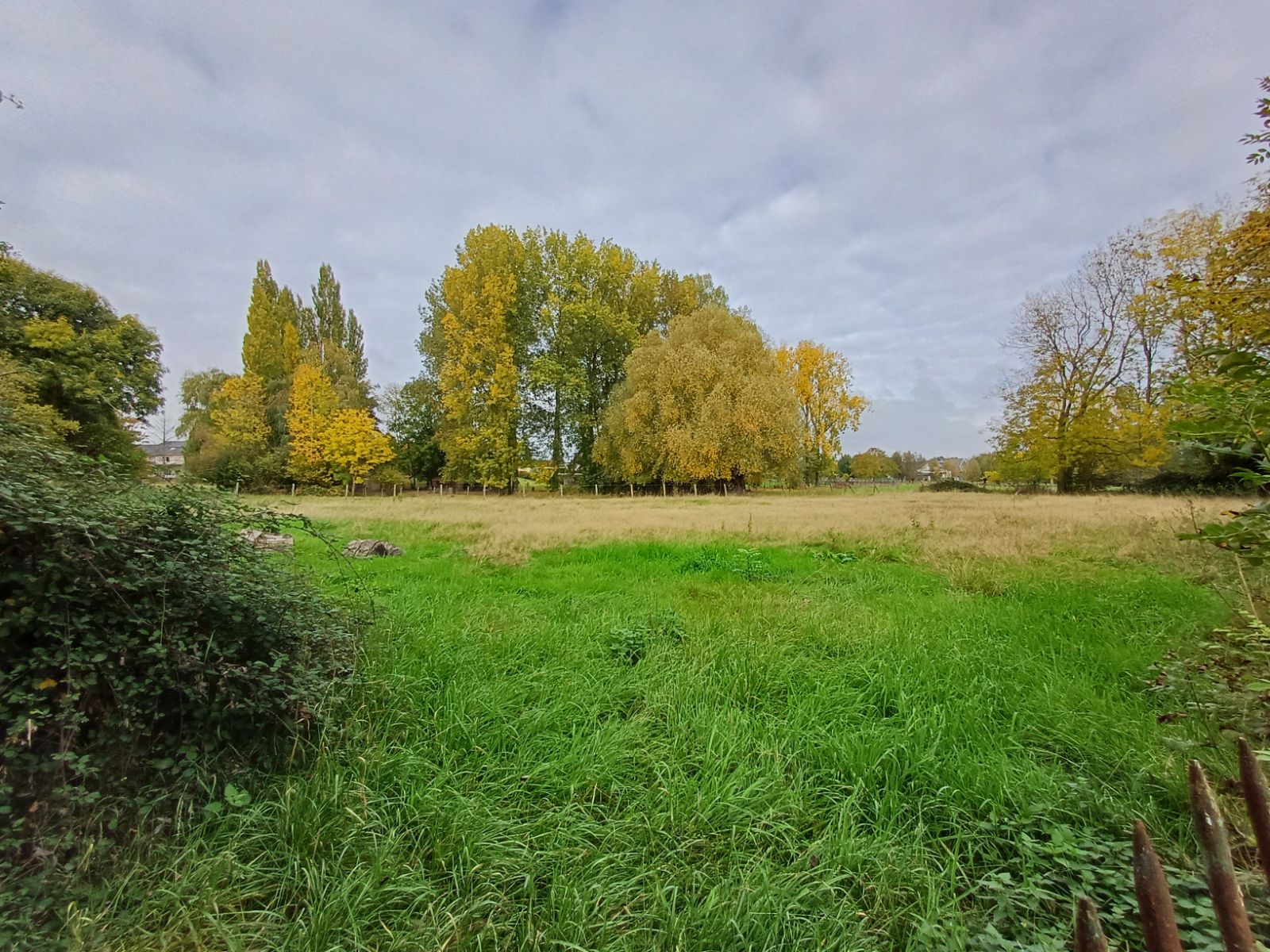 Landbouwgrond