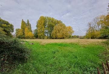 Landbouwgrond Te koop Lierde