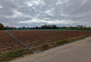 Landbouwgrond Te koop Lierde