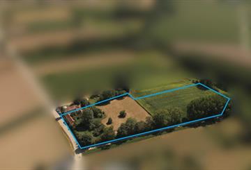 Hoeve Te koop Brakel