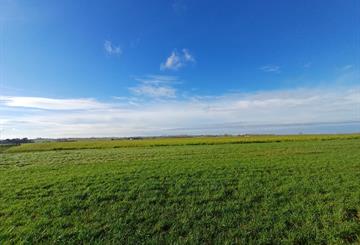 Bouwgrond Te koop Brakel